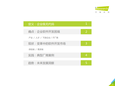 2021年中國企業級無代碼白皮書 信息技術咨詢服務的新篇章