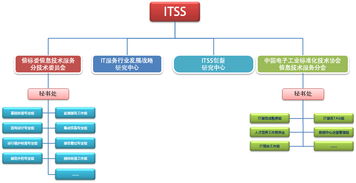 信息技術(shù)咨詢服務(wù) 推動行業(yè)標(biāo)準(zhǔn)化與創(chuàng)新發(fā)展